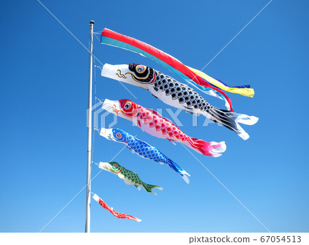Carp streamer Carp streamer 67054513
