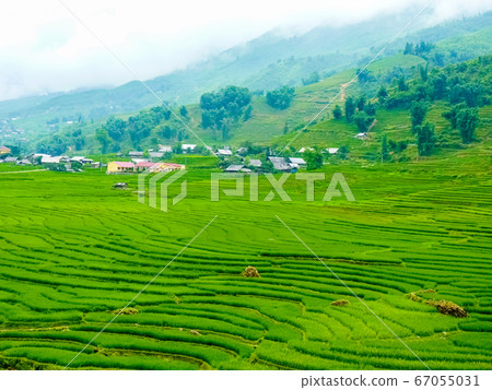 Lao Cai rice fields near Sapa (Chapa) in north 67055031