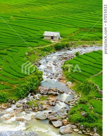 Lao Cai rice fields near Sapa (Chapa) in north Lao Cai rice fields near Sapa (Chapa) in north 67055033