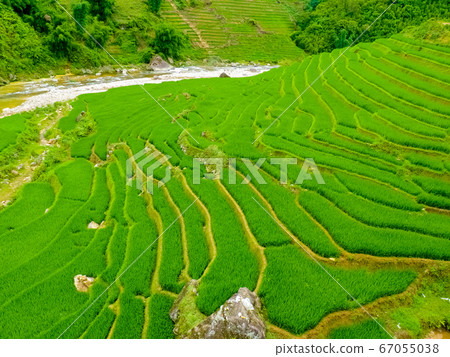 Lao Cai rice fields near Sapa (Chapa) in north Lao Cai rice fields near Sapa (Chapa) in north 67055038