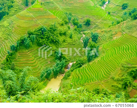 Lao Cai rice fields near Sapa (Chapa) in north 67055068