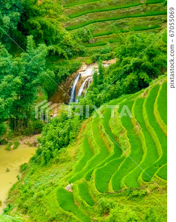 Lao Cai rice fields near Sapa (Chapa) in north Lao Cai rice fields near Sapa (Chapa) in north 67055069