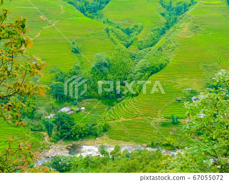 Lao Cai rice fields near Sapa (Chapa) in north Lao Cai rice fields near Sapa (Chapa) in north 67055072