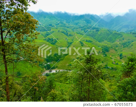 Lao Cai rice fields near Sapa (Chapa) in north Lao Cai rice fields near Sapa (Chapa) in north 67055073
