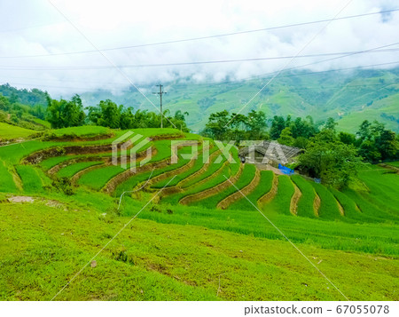 Lao Cai rice fields near Sapa (Chapa) in north Lao Cai rice fields near Sapa (Chapa) in north 67055078