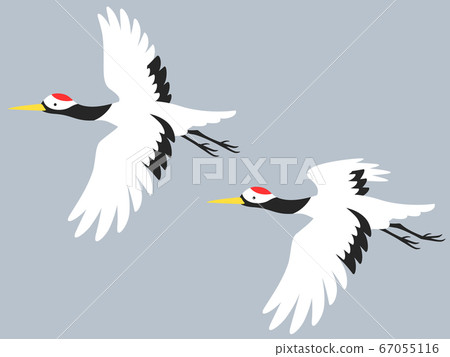 Illustration of two cranes flying in the sky 67055116