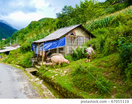 Sapa (Chapa) village in north of Vietnam 67055119