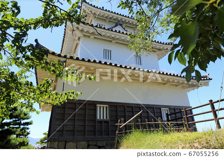 Marugame Castle in early summer 67055256