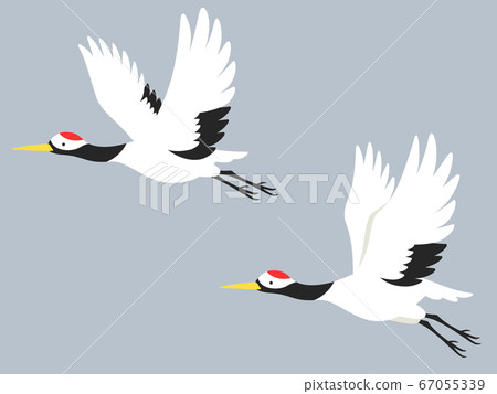 Illustration of two cranes flying 67055339