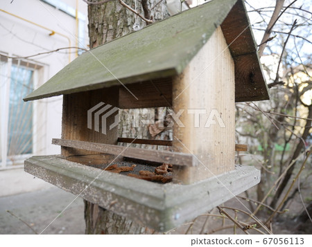 Bird feeder on the tree Bird feeder on the tree 67056113