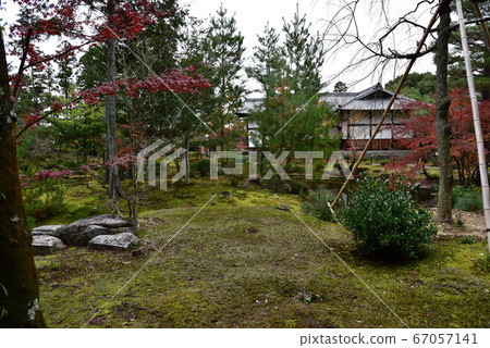 Scene of Tomoin Scene of Tomoin 67057141