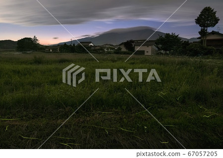 Fireflies originating from Karuizawa Town, Nagano Prefecture Fireflies originating from Karuizawa Town, Nagano Prefecture 67057205