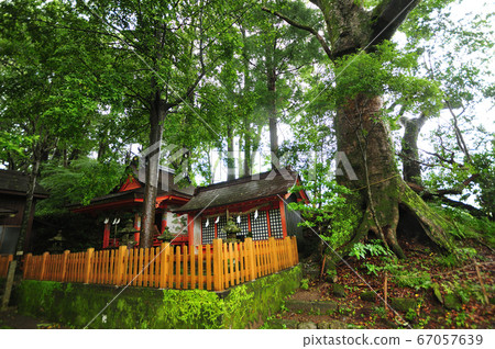 高原熊野神社 高原熊野神社 67057639