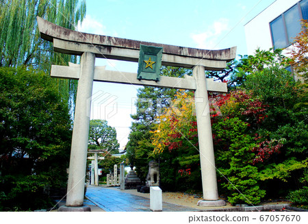 [京都]從H川通看到的秋季清明神社一之鳥居（斜） 67057670