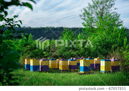 Eco-friendly apiary. An apiary where ecologically clean honey and other beekeeping products are obtained. Advantages of polyurethane hives. Top views. 67057831