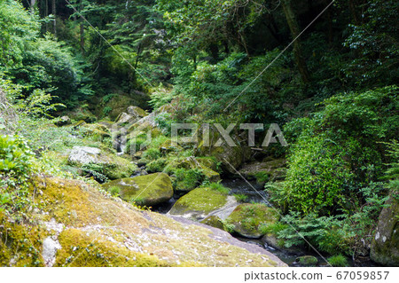 River flowing in the valley River flowing in the valley 67059857