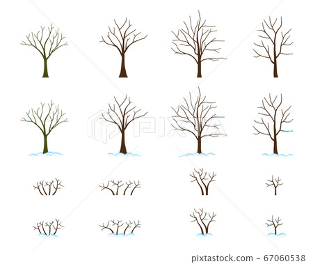 Set of winter trees covered with snow 67060538