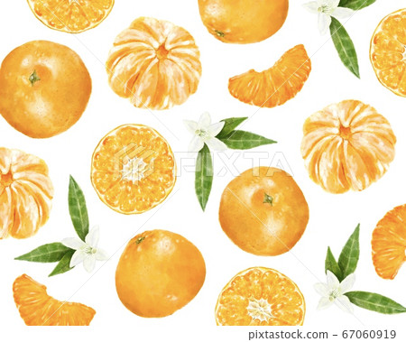 Orange mikan pattern watercolor style illustration - Stock