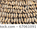 Full frame image of salted Mackerel fish 67061091