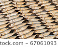 Full frame image of salted Mackerel fish 67061093