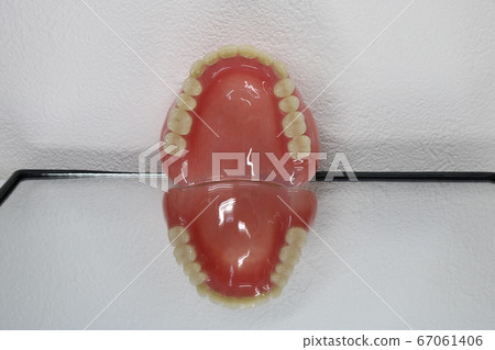 Tooth Tooth 67061406