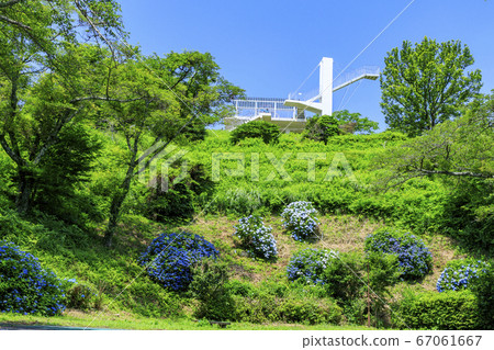 Shinki Ikoma Skyline Fresh Green and Hydrangea 67061667