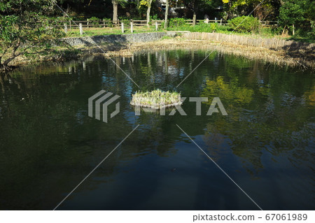 Senzokuike Park Aquatic Botanical Garden 67061989