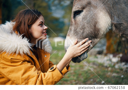 happy woman hugs a donkey in nature close-up happy woman hugs a donkey in nature close-up 67062158