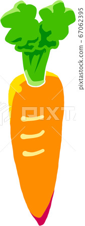 Carrots Carrots 67062395