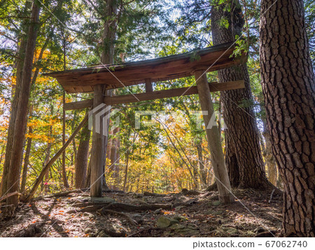 山間徒步路線淺間嶺上淺間神社的鳥居和秋葉 67062740