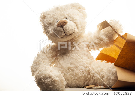 image of toy bear bag white background image of toy bear bag white background 67062858