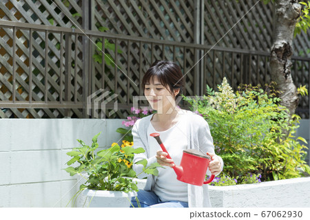 園林花卉花盆園藝 園林花卉花盆園藝 67062930