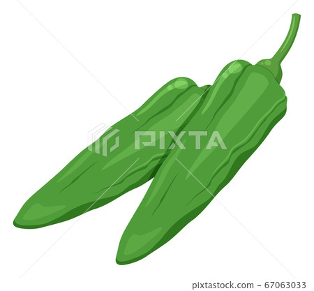 Shishito的插圖 67063033