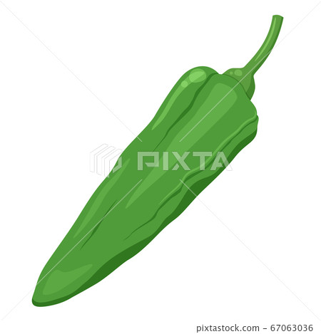 Shishito的插圖 67063036