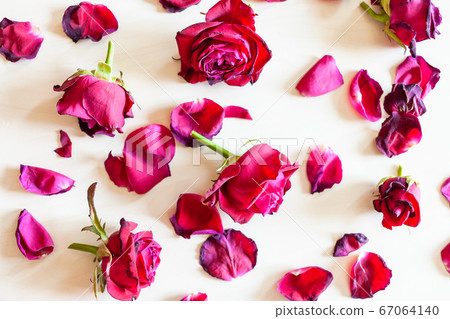 withered red rose flowers on pale wood background 67064140