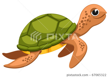 A sea turtle smiles and swims. The character A sea turtle smiles and swims. The character 67065322