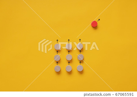 Conceptual image of standing out of the crow and Conceptual image of standing out of the crow and 67065591