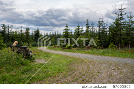 Rothaarsteig, Sauerland, Germany Rothaarsteig, Sauerland, Germany 67065805