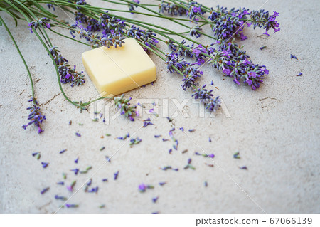 Lavender flowers and natural soap for bodycare on concrete background. Lavender flowers and natural soap for bodycare on concrete background. 67066139