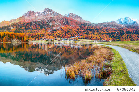 Stunning autumn panorama of Silvaplana lake and 67066342