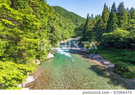 Itadori River (June, Monet's Pond Gifu) 67066474