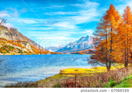 Stunning autumn scene in Swiss Alps and views of Stunning autumn scene in Swiss Alps and views of 67066589