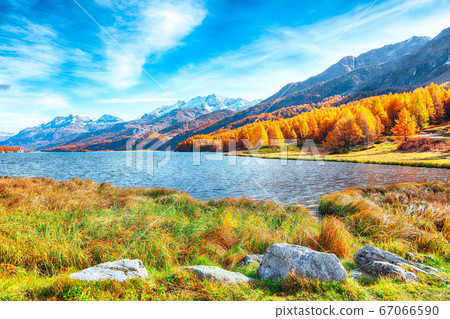 Stunning autumn scene in Swiss Alps and views of 67066590