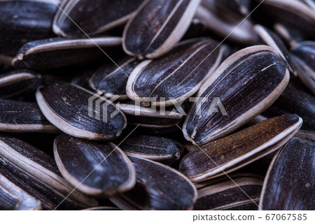 Sunflower seeds closeup on the table. Cereals. Healthly food. Sunflower seeds closeup on the table. Cereals. Healthly food. 67067585