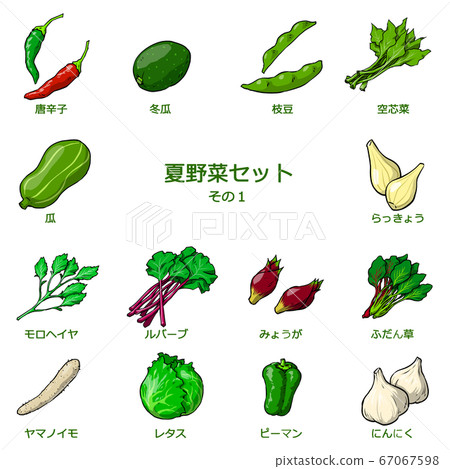 Summer vegetables set 1 Summer vegetables set 1 67067598