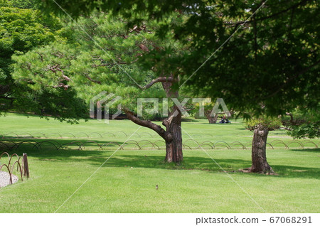 公園 公園 67068291