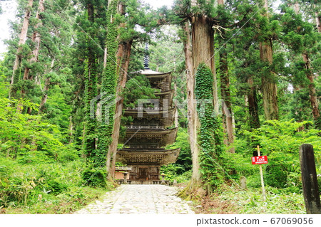 山形德瓦山山五層寶塔和八老山雪鬆的接近 67069056