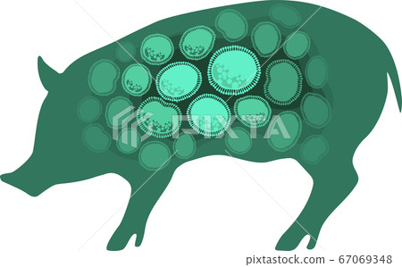 Pig, livestock, pig farming, infectious disease image-green Pig, livestock, pig farming, infectious disease image-green 67069348