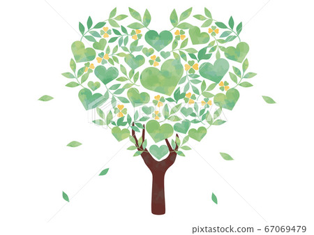 Fresh green tree watercolor heart shape Fresh green tree watercolor heart shape 67069479