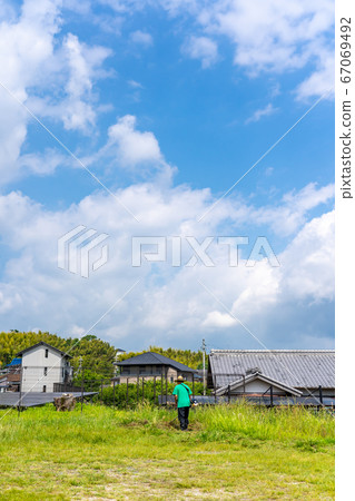 Elderly man mowing grass in a vacant lot of a residential area 67069492